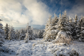 Beautiful winter in the Gorce Mountains - fresh snow created an amazing landscape. Beskidy, Poland.