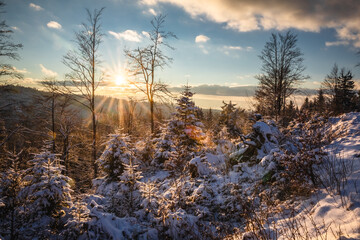 Beautiful winter in the Gorce Mountains - fresh snow created an amazing landscape. Beskidy, Poland.