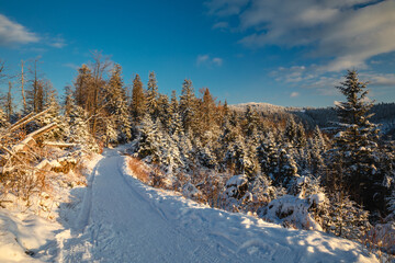 Beautiful winter in the Gorce Mountains - fresh snow created an amazing landscape. Beskidy, Poland.