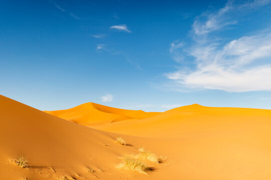 (Selective focus) Stunning view of some sand dunes illuminated during a sunny day in Merzouga, Morocco. Natural background with copy space. © Travel Wild