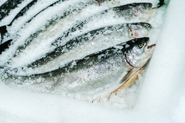 Chilled salmon fish on the counter in ice shavings. Trade in fresh seafood in the store. Flat lay....