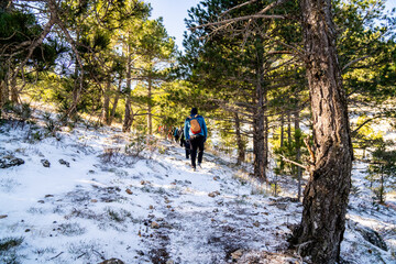 Fototapeta premium group of people hiking sport on snowy mountain together happy and enjoying snow