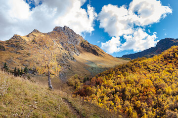 Mountain landscape