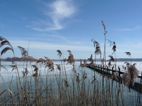 Winter impressions at Pilsensee lake, Bavaria, Germany.