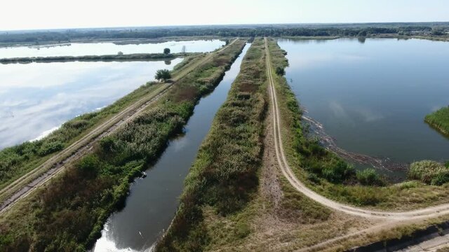 Aerial shot of fish plant levees with dirt roads, canals, and pools in summer  