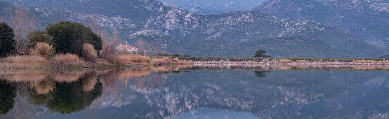 Reflection of a tree and mountains in the Lac de Padula, Oletta, Corsica