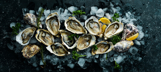 Open oysters Fines de Claire. Free space for your text. Seafood. Flat lay. © Yaruniv-Studio