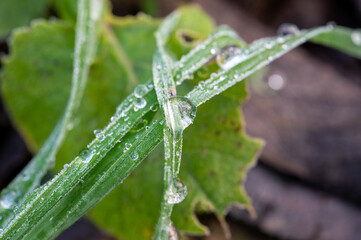 gefrorener Wassertropfen