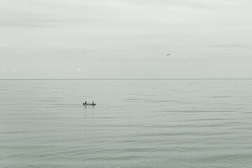 the fishermen and the seagull