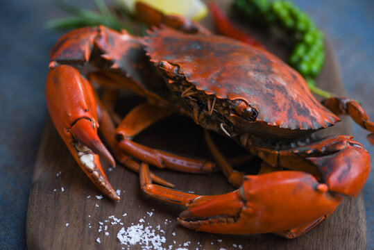 Shellfish seafood plate with steaming crab on wooden dark background.