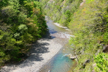 新緑の磐井川。一関、岩手、日本。5月上旬。