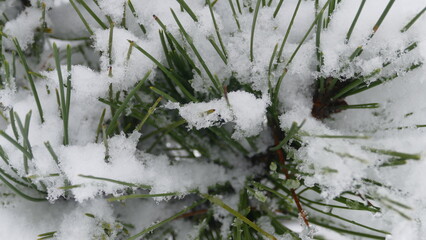 paesaggio innevato