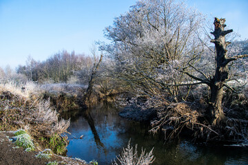 The riverbank in winter