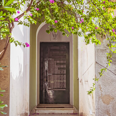 classic design family house front arched entrance door and plant foliage