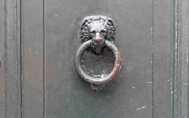 traditional lion head brass knocker closeup on dark metallic door background