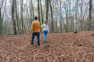 Naklejka na ściany i meble Couple walking in beautiful forest.Young woman holding men hand.Love and friendship lifestyle concept.