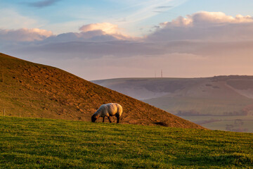 A Winter Sussex Landscape on a January Afternoon © lemanieh