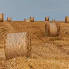 Fototapeta premium View of the Masurian fields.