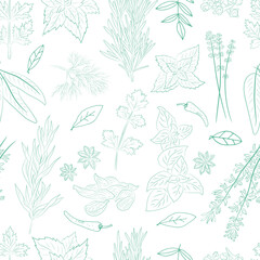 Seamless pattern with a set of spices and herbs. Vector Collection of hand drawn Spices and Herbs. Botanical plant illustration. Vintage Medicinal Herbs and plants. 