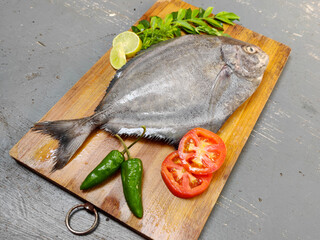 Closeup view of Fresh Black Pomfret Fish decorated with herbs and vegetables,Selective focus.