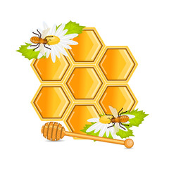 Sweet honeycomb bees and flower chamomile.vector illustration.
