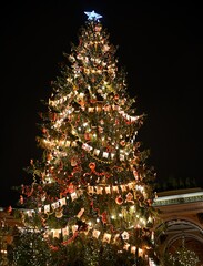 Christmas tree in Saint Petersburg, Russia