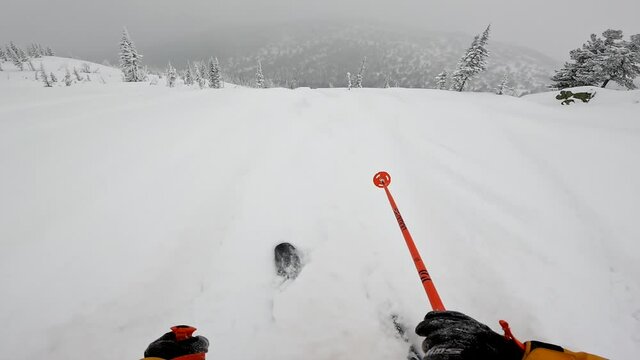FIRST PERSON VIEW CLOSE UP: Snowboarder riding fresh powder snow in snowy mountain forest. Freeride skier skiing in perfect powder snow off piste in sunny mountain ski resort