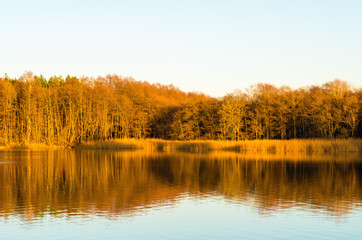 Fototapeta na wymiar Winter Trees Reflected in Water