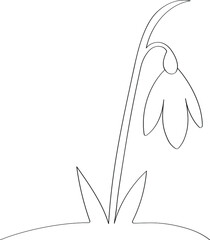 Snowdrop is drawn with a black outline with a thin line, a template for children's coloring in the style of doodle. The first spring flower that blooms from under the snow, beautiful drawing sketch.
