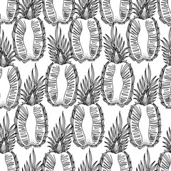 Pineapple slices seamless pattern in doodle style. Black and white exotic fruits. Hand drawn tropisian fruit vector illustration on white background