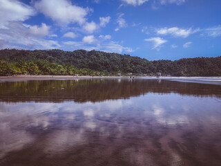Obraz premium reflection of trees in the sea