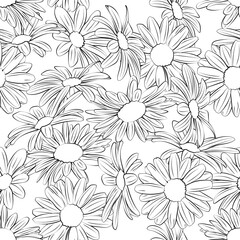 Seamless background with leaves, flowers. Line drawing. Lines have different widths. Black white. Сhamomile.