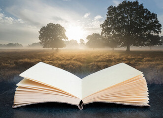 Digital composite of Beautiful Autumn dawn countryside landscape in pages of open book