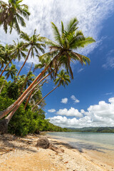 Beautiful beach with palm trees on Malekula island, Vanuatu