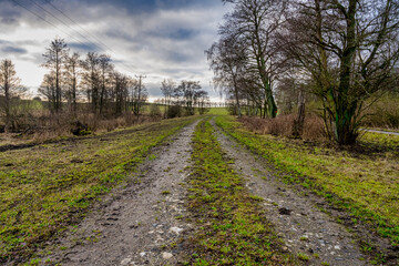 Fototapeta na wymiar A road and trees on a meadow with an amazing sky in the background. Picture from Lund, southern Sweden