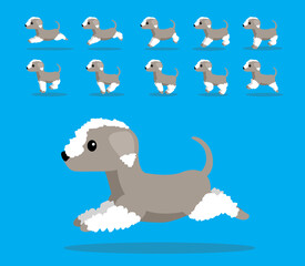Animal Animation Sequence Dog Bedlingtone Terrier Cartoon Vector