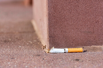 a single cigarette butt lying on the ground