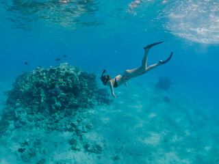 Woman snorkeling and free diving to Red Sea coral reef