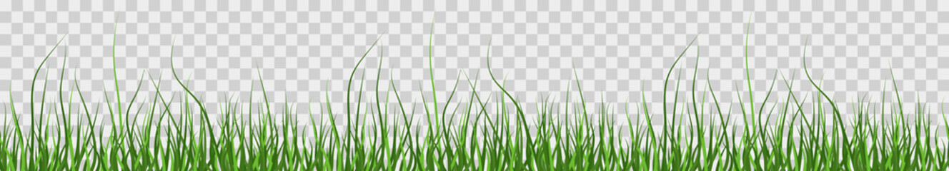Multicolor green grass. Seamless pattern from left to right. Horizontal on transparent background. Vector Illustration. EPS10