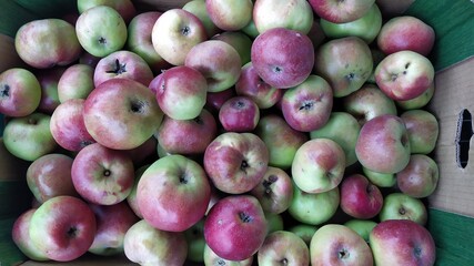 Ripe apples.