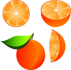 Set of orange fruit whole and cut, vector illustration, white background, for logo, design element