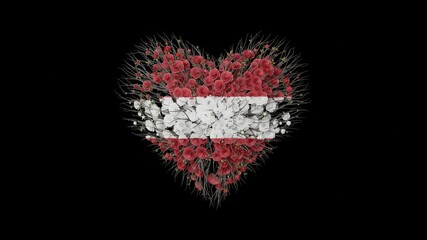 Latvia National Day. November 18. Heart shape made out of flowers on black background. 3D rendering.