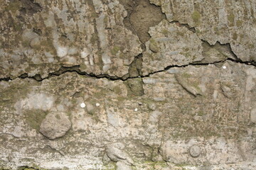 concrete surface