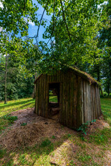 Fototapeta na wymiar old wooden hut in the forest