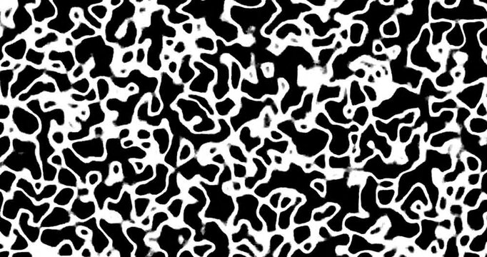 seamless skin pattern color of black and white footage 4k