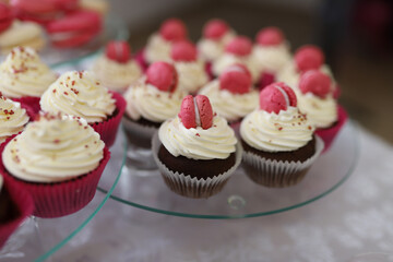 Tasty cake isolate on white background