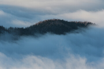 Fototapeta premium 雲海３