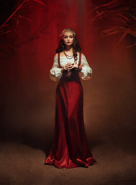 Young beautiful gypsy woman stands in a dark room. Long black flowing hair, rose hairpin. Red ethnic vintage dress, fortune teller costume. Gold jewelry. Mystical fantasy girl, pagan witch. Art photo