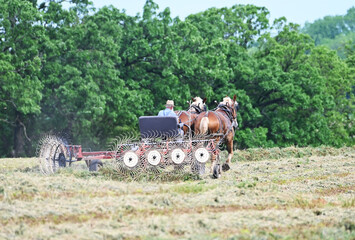 Obraz premium Amish Farm Rake