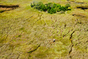 Aerial view to wild nature of Delta Okavango in Botswana.